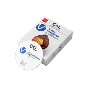 V-Ray Premium 1 Year Subscription